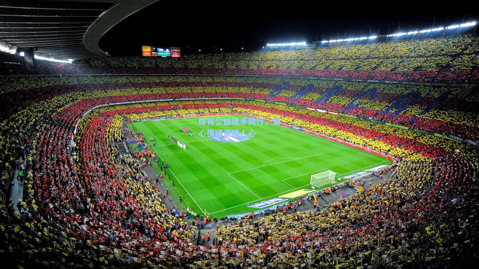 体育公益携手同行,爱心传递温暖人心