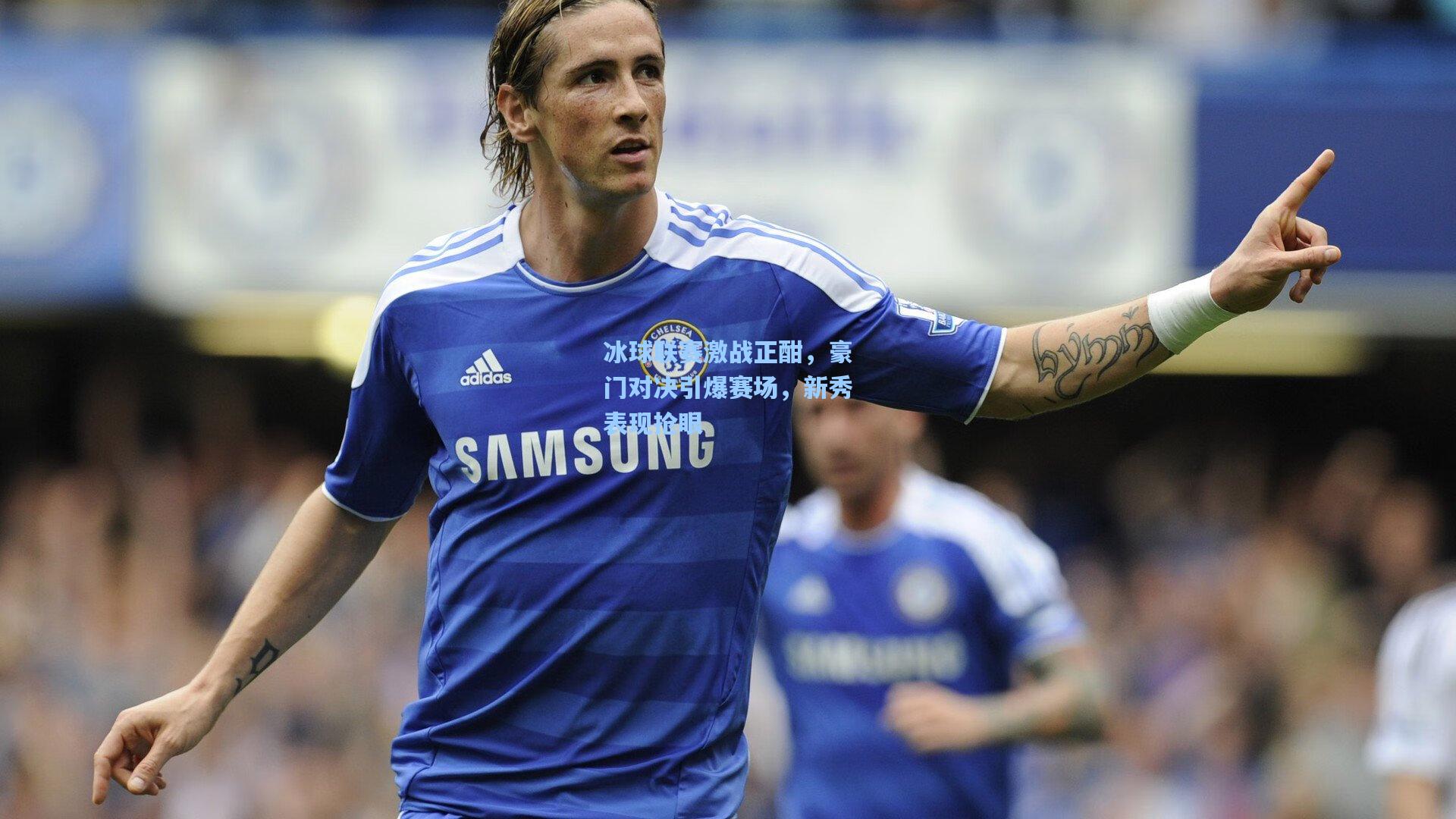 冰球联赛激战正酣,豪门对决引爆赛场,新秀表现抢眼